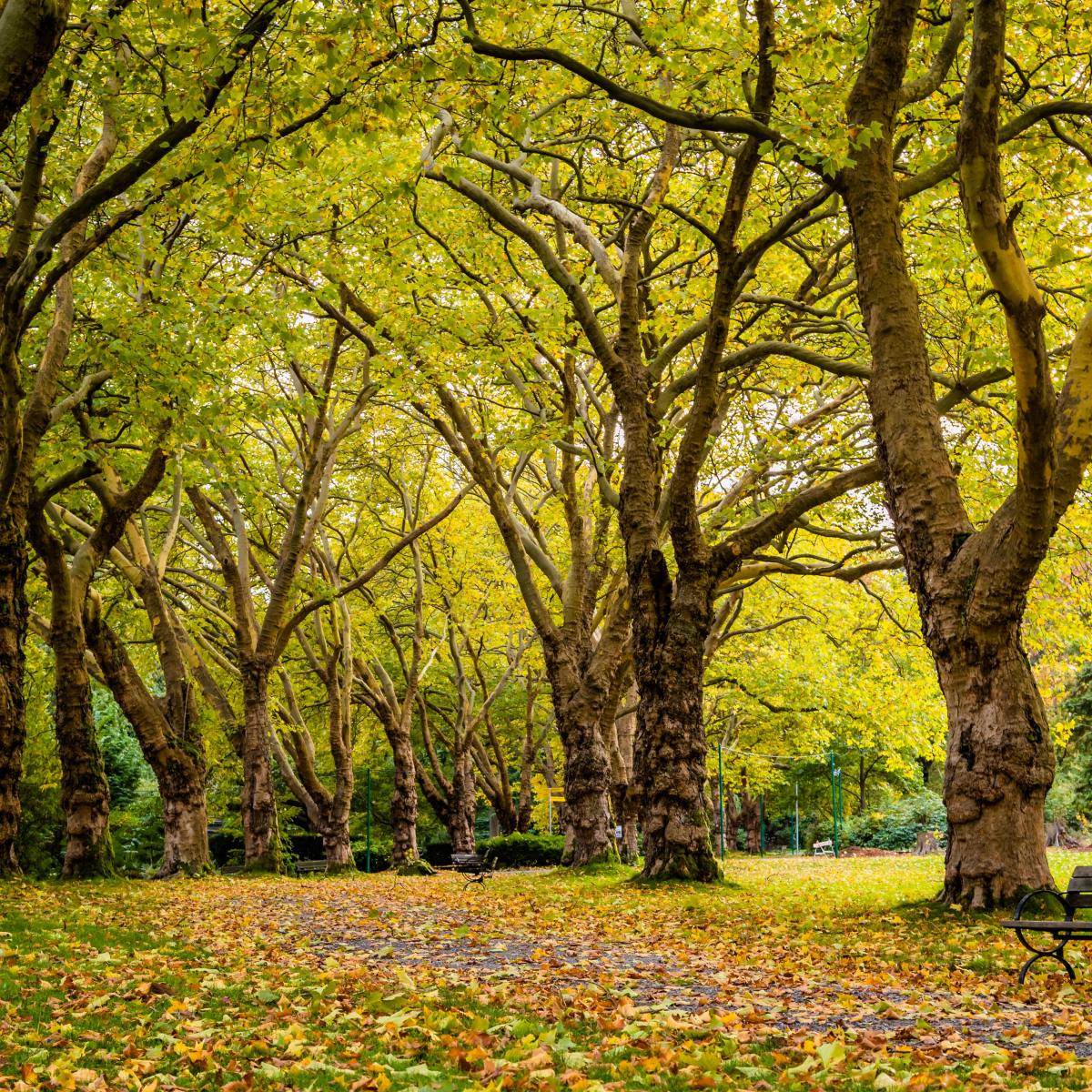 Lizzie’s Diary – Entry&nbsp;8