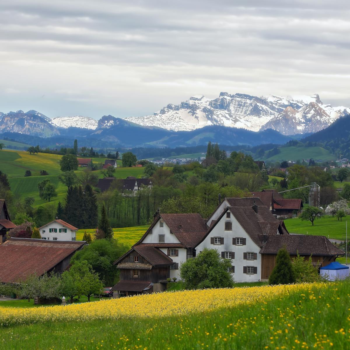 Scarlett Moon, Chapter&nbsp;2