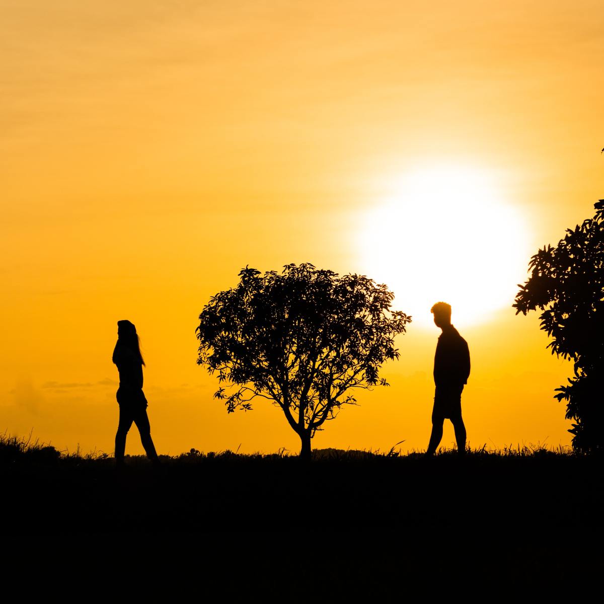 Lizzie’s Diary – Entry&nbsp;9