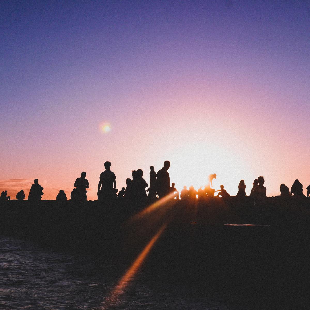 Lizzie’s Diary – Entry&nbsp;37