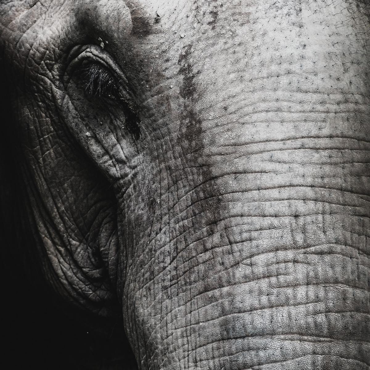 Lizzie’s Diary – Entry&nbsp;47