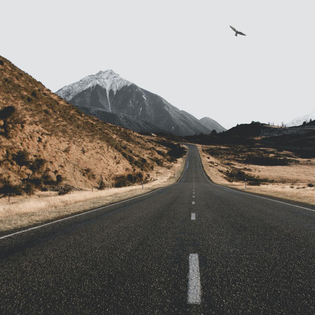 Lizzie’s Diary – Entry&nbsp;45